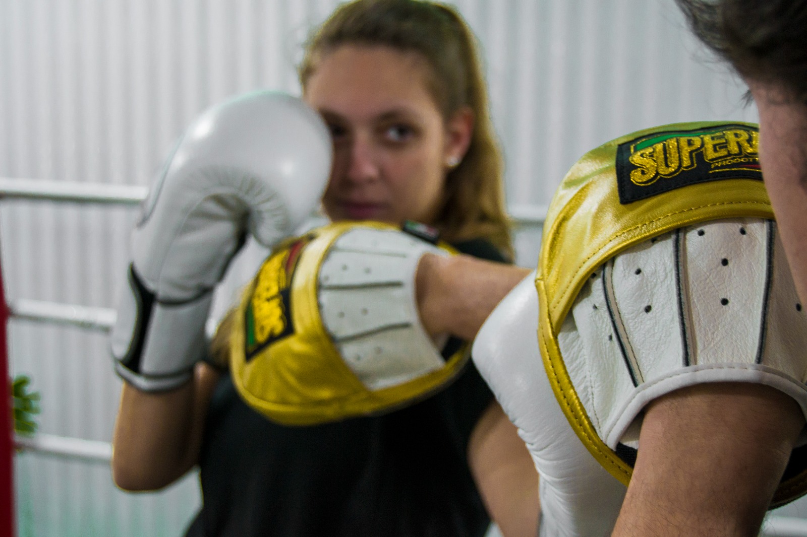 Boxeo Senior
